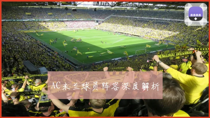 AC米兰球员阵容深度解析